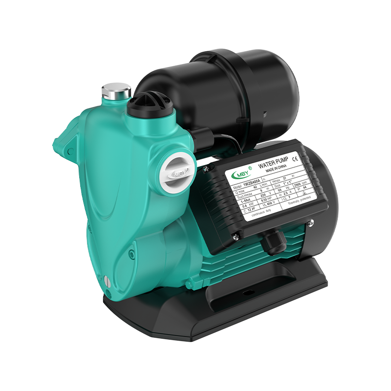 Máy bơm tự mồi tự động 1WZB/A