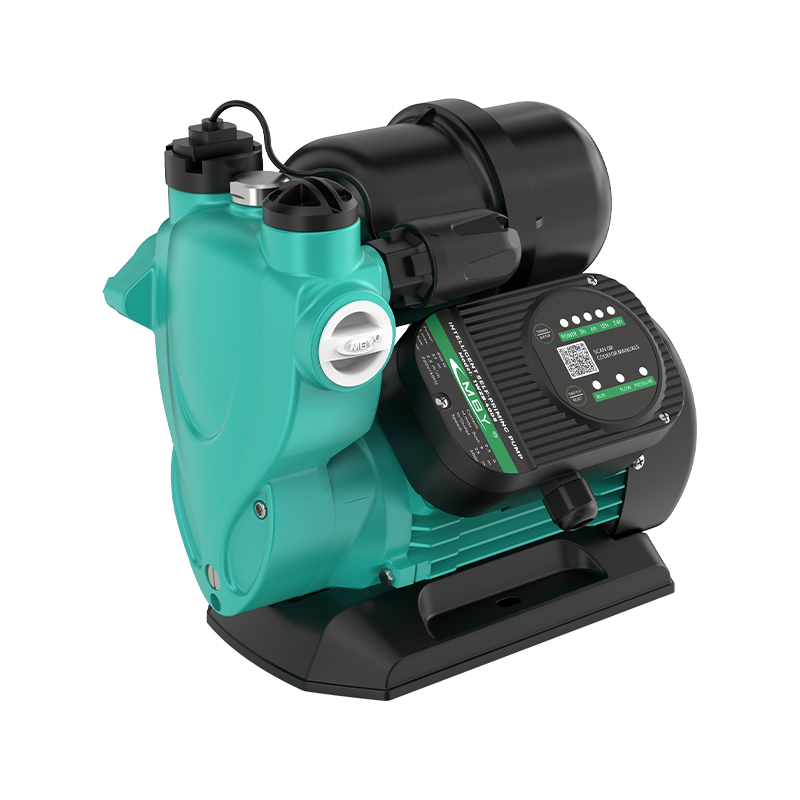 Bơm tự mồi tự động 1WZB/S